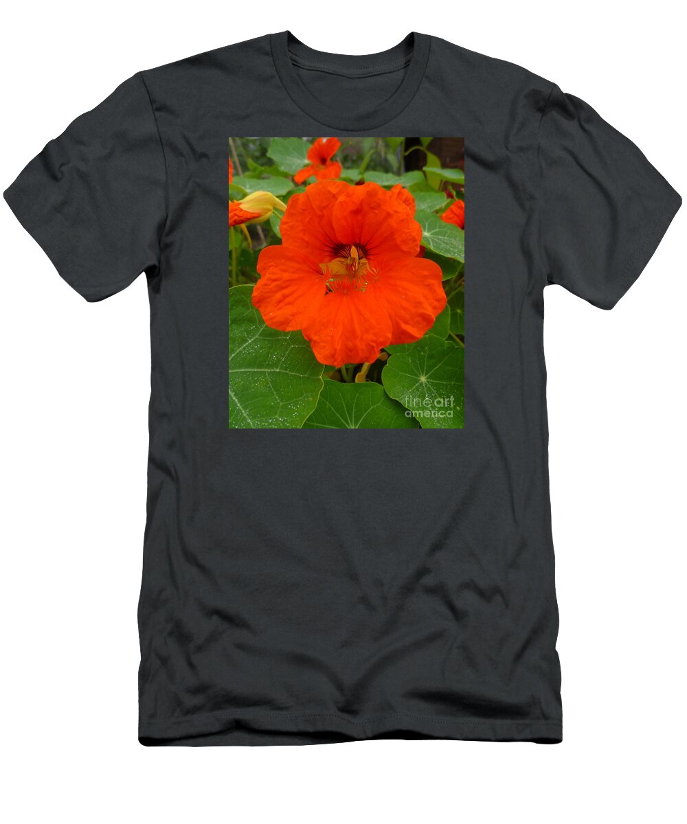 Flower T-Shirt featuring the photograph Nasturtium Blossom by Lingfai Leung