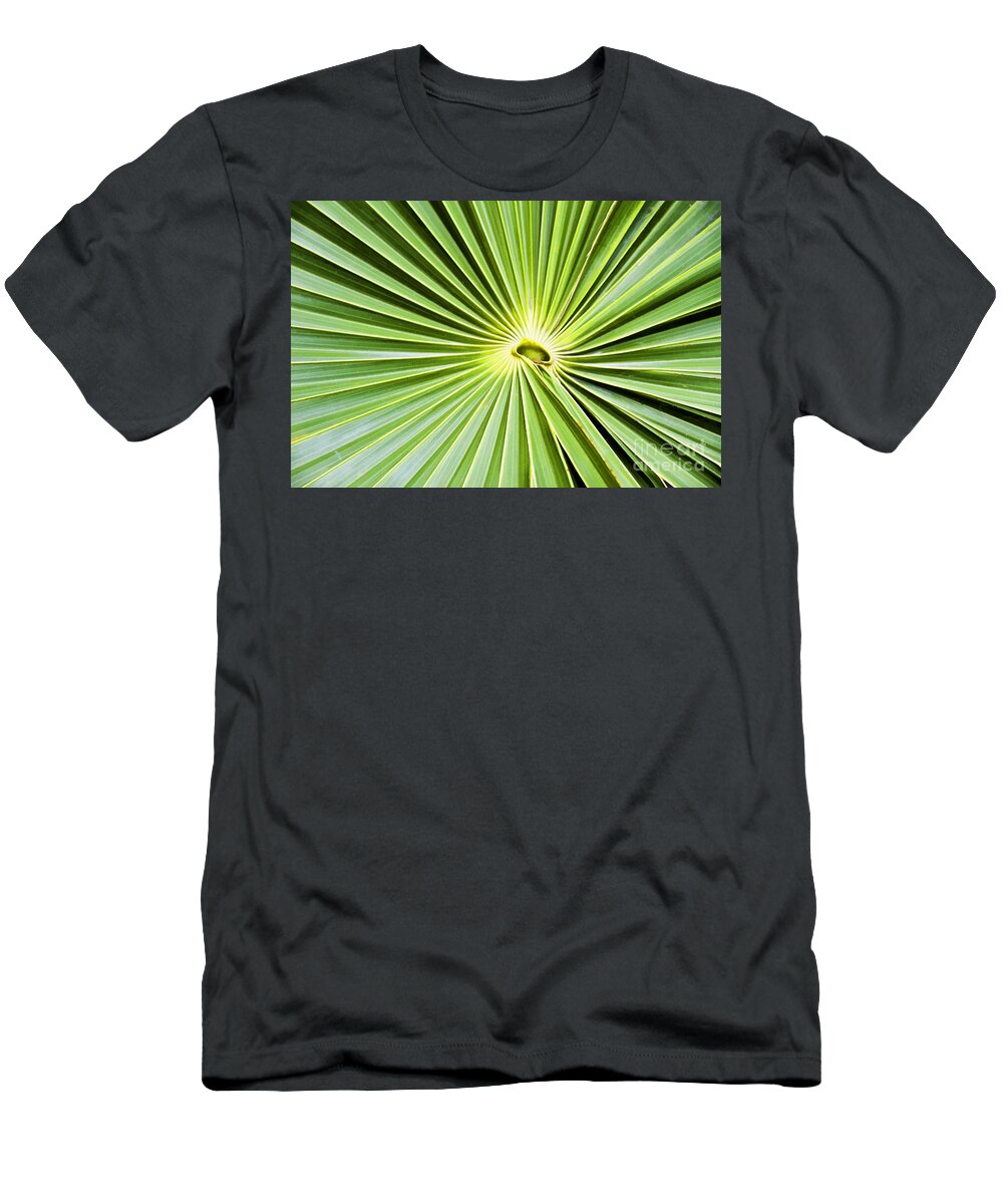 Palm Tree Leaf T-Shirt featuring the photograph Natural Abstract by Teresa Zieba