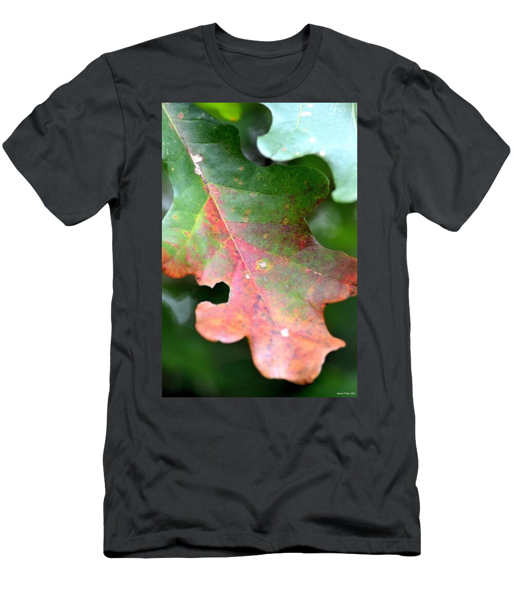 Natural Oak Leaf Abstract T-Shirt featuring the photograph Natural Oak Leaf Abstract by Maria Urso