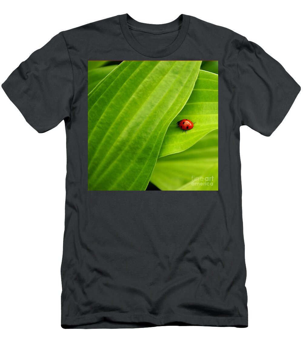 Ladybug T-Shirt featuring the photograph Naturellement Complementaire by Aimelle Ml
