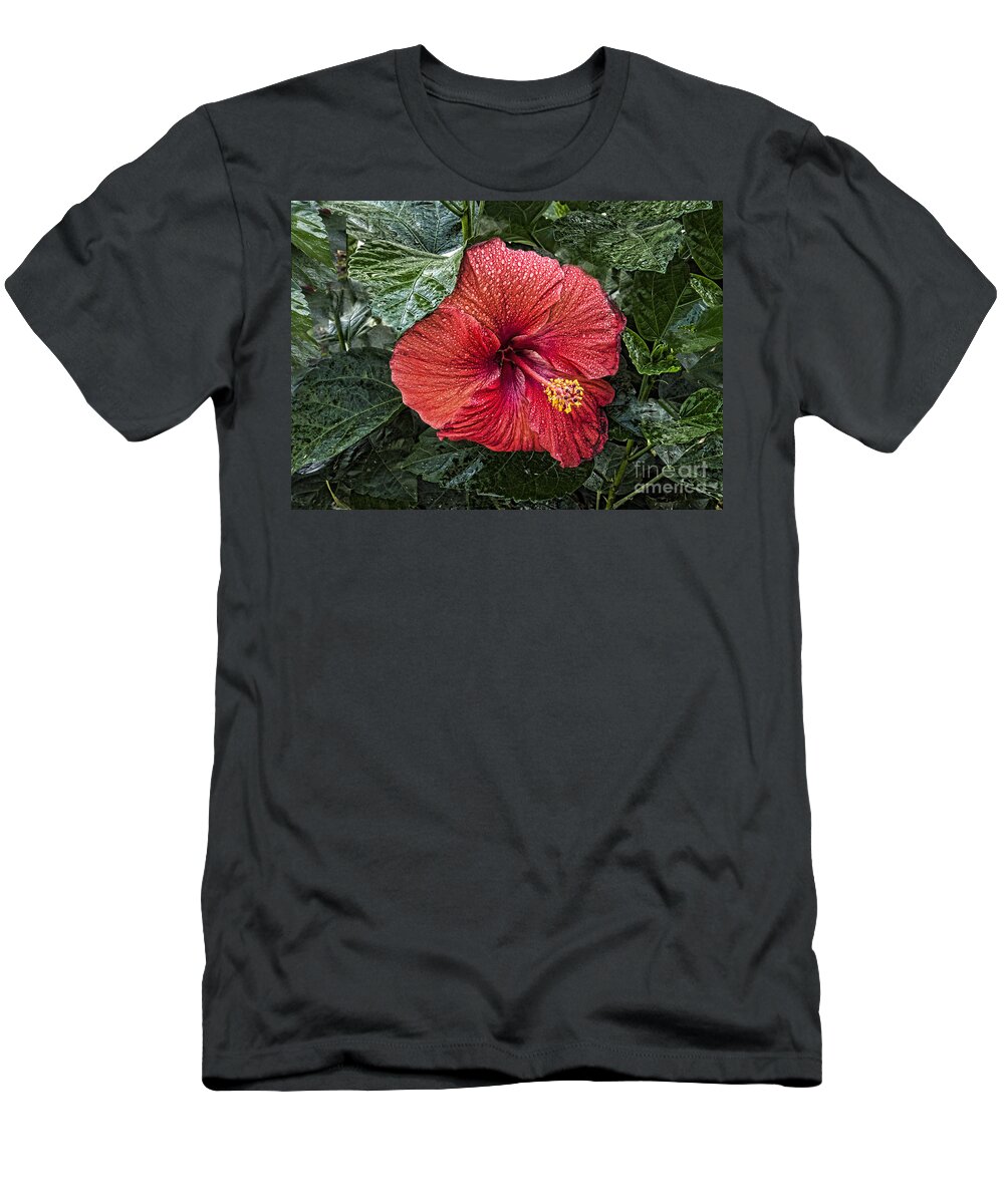 Photograph T-Shirt featuring the photograph Red Hibiscus Flower by M Three Photos