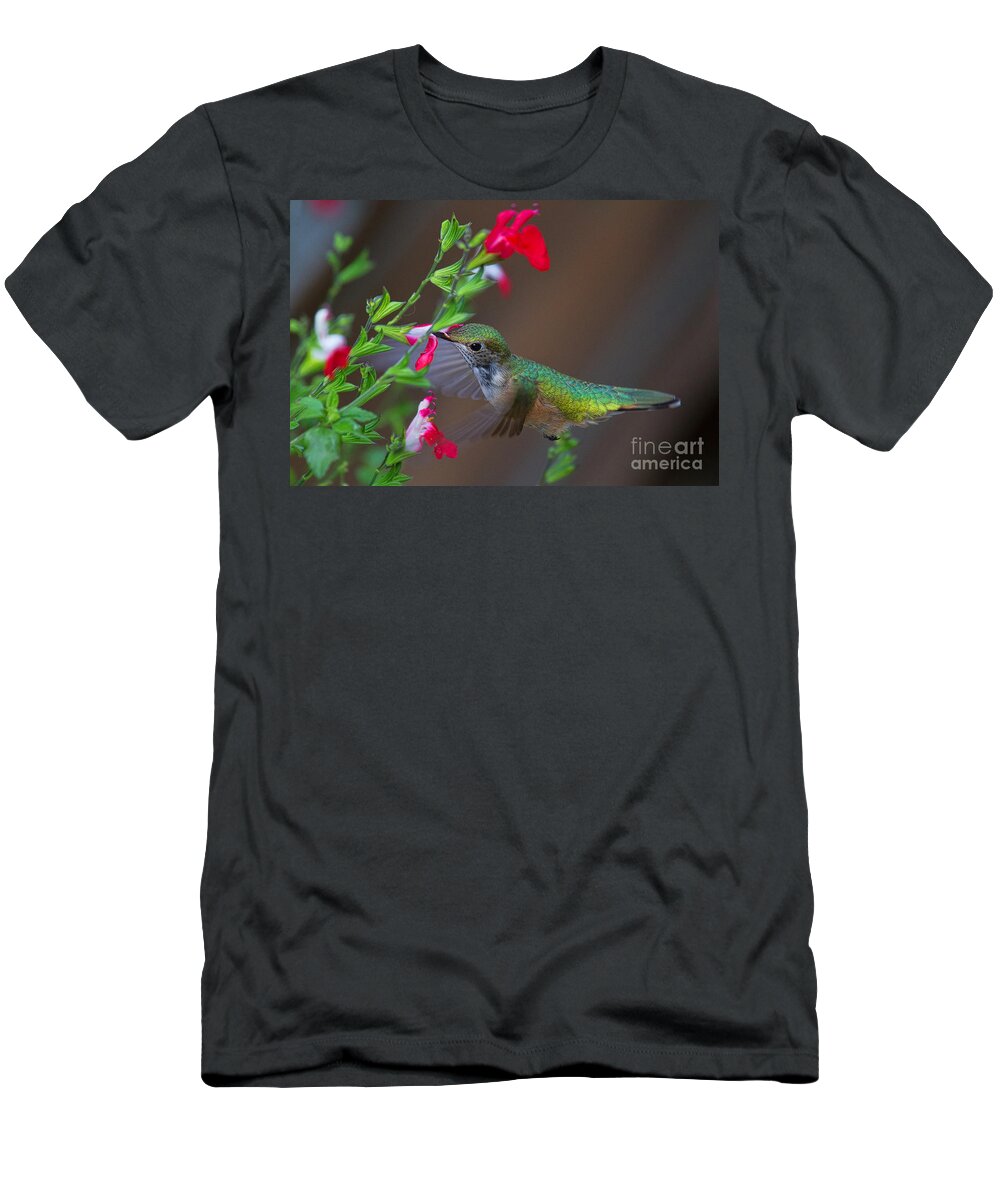 Humming Bird T-Shirt featuring the photograph Nature's Hovercraft by Jim Garrison