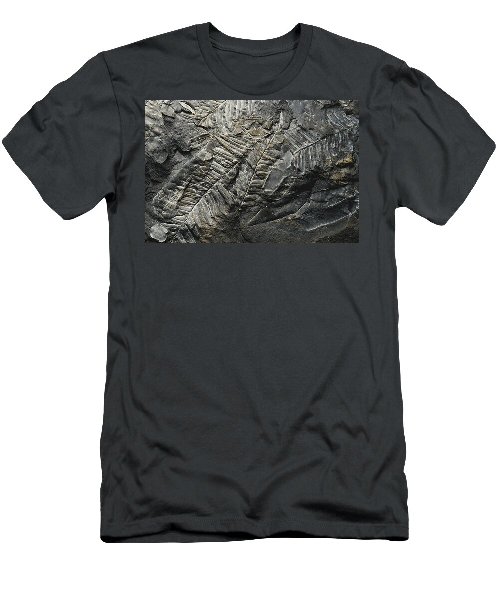 Alethopteris T-Shirt featuring the photograph Neuropteris And Alethopteris by Theodore Clutter
