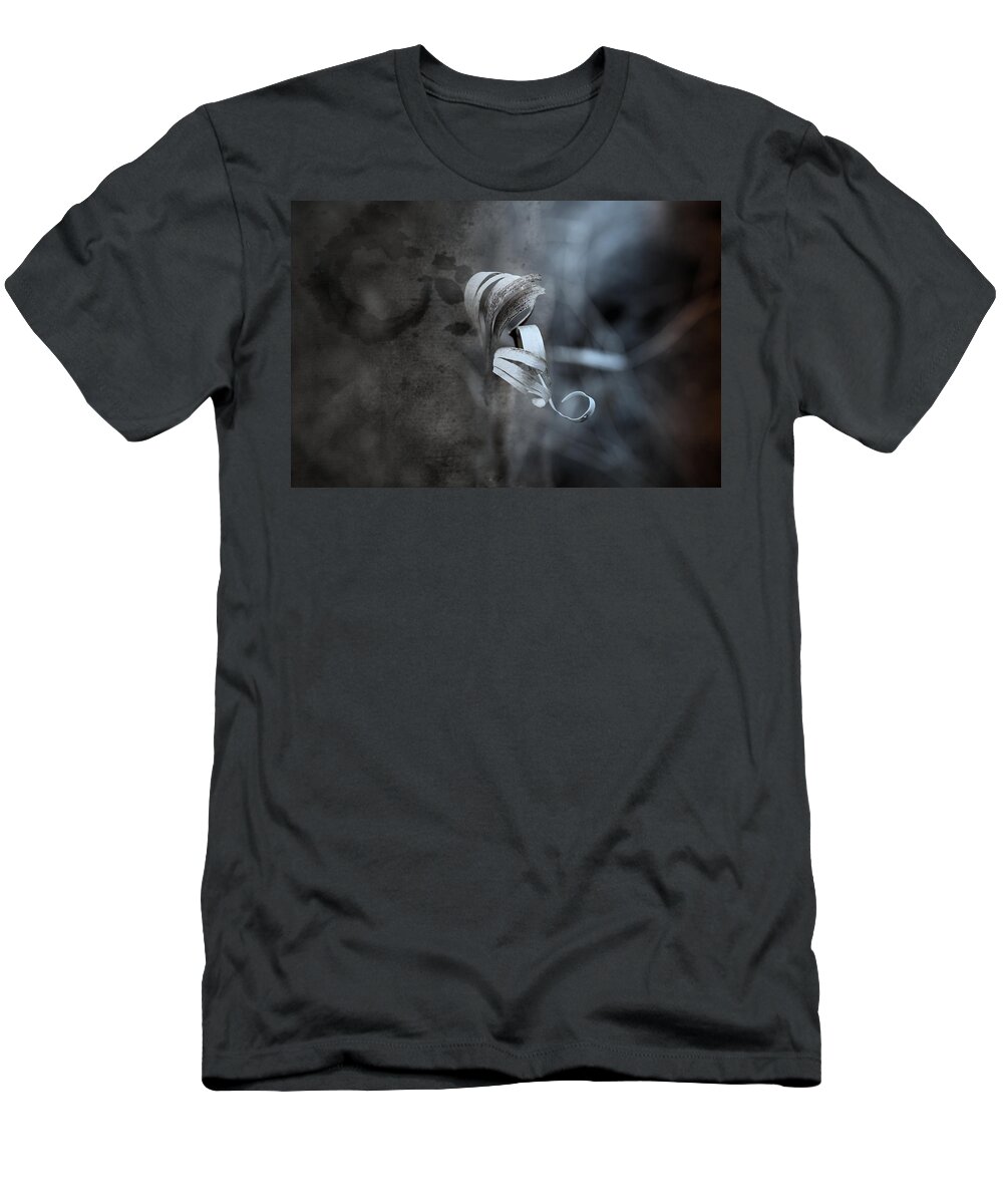 Curl T-Shirt featuring the photograph Neutral Order by Mark Ross