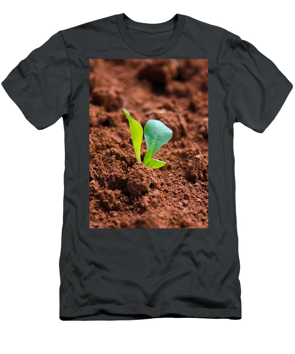 Plant T-Shirt featuring the photograph Newborn Plant On Red Acre by Andreas Berthold