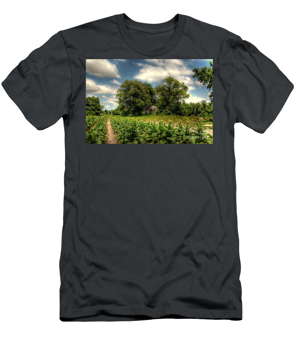 Tobacco T-Shirt featuring the photograph North Carolina Tobacco Farm by Benanne Stiens