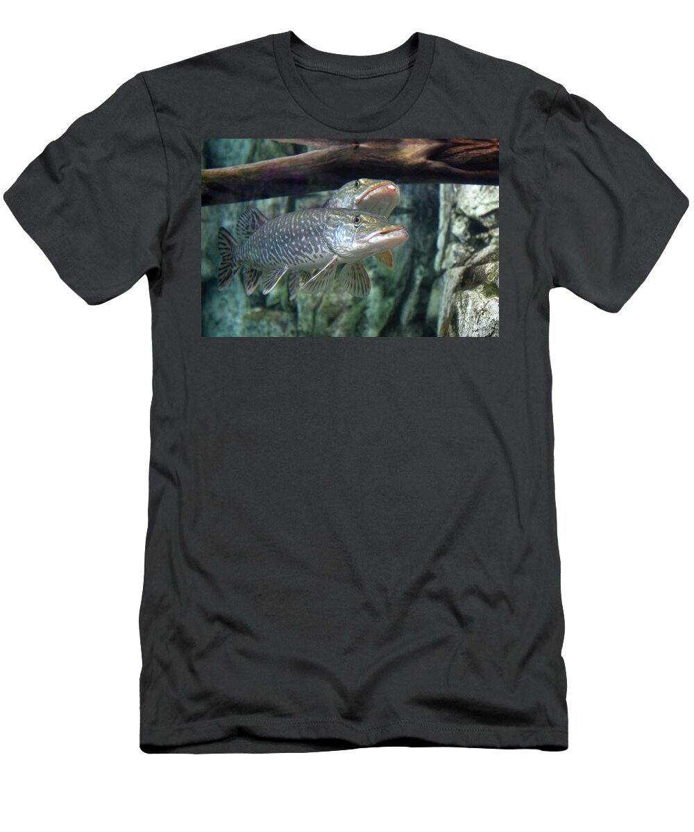 Northern Pike T-Shirt featuring the photograph Northern Pike by Shane Bechler