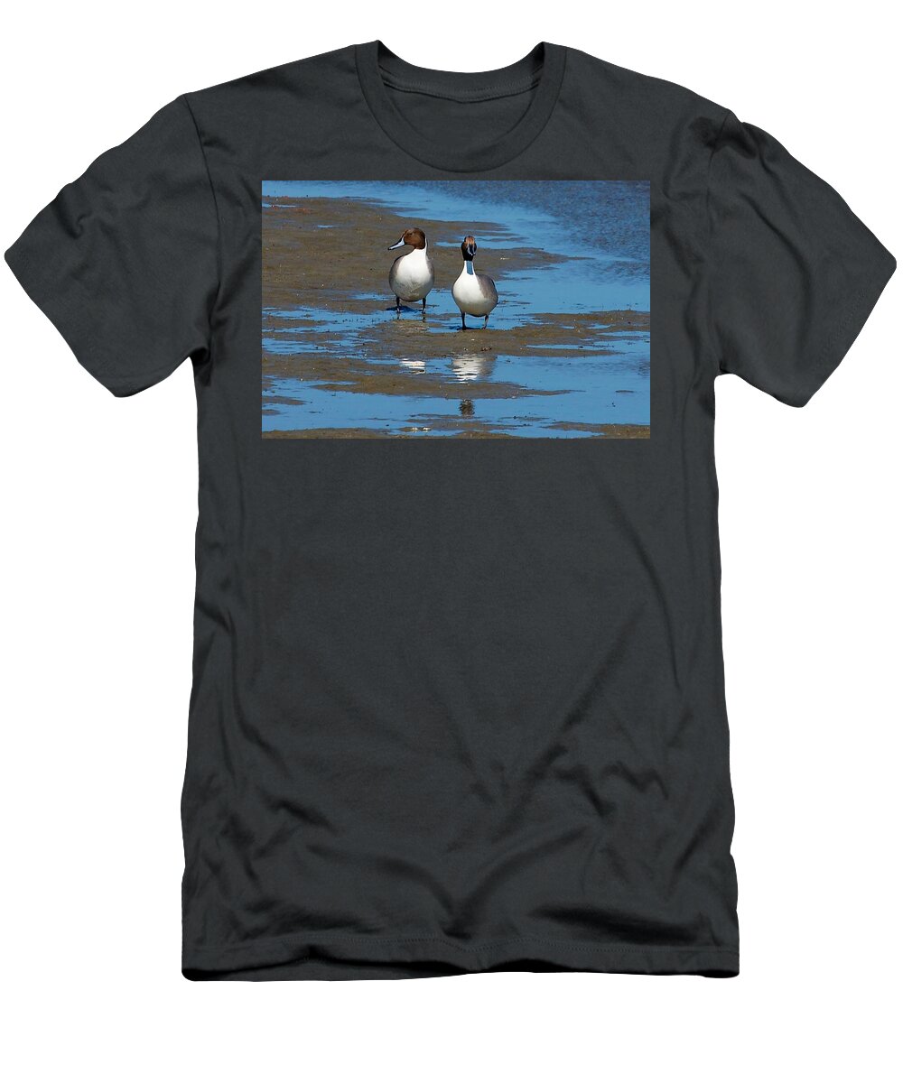 Northern Pintail Ducks T-Shirt featuring the photograph Northern Pintail Ducks by Stuart Litoff