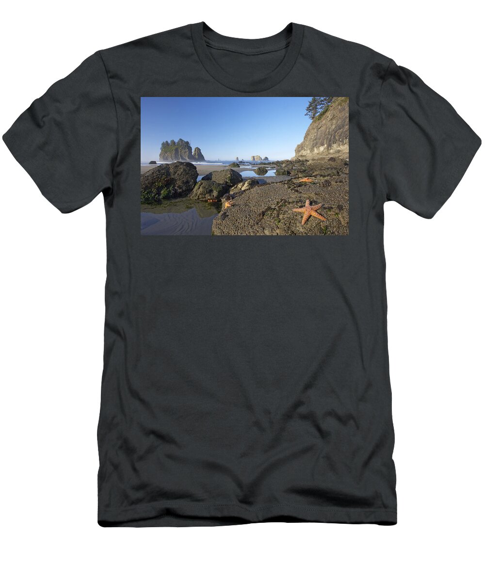 Flpa T-Shirt featuring the photograph Ochre Seastars Olympic Np Washington by Bill Coster