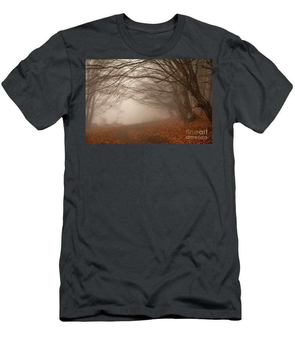 Auatomn T-Shirt featuring the photograph Old Beech Trees In Fog by Jivko Nakev