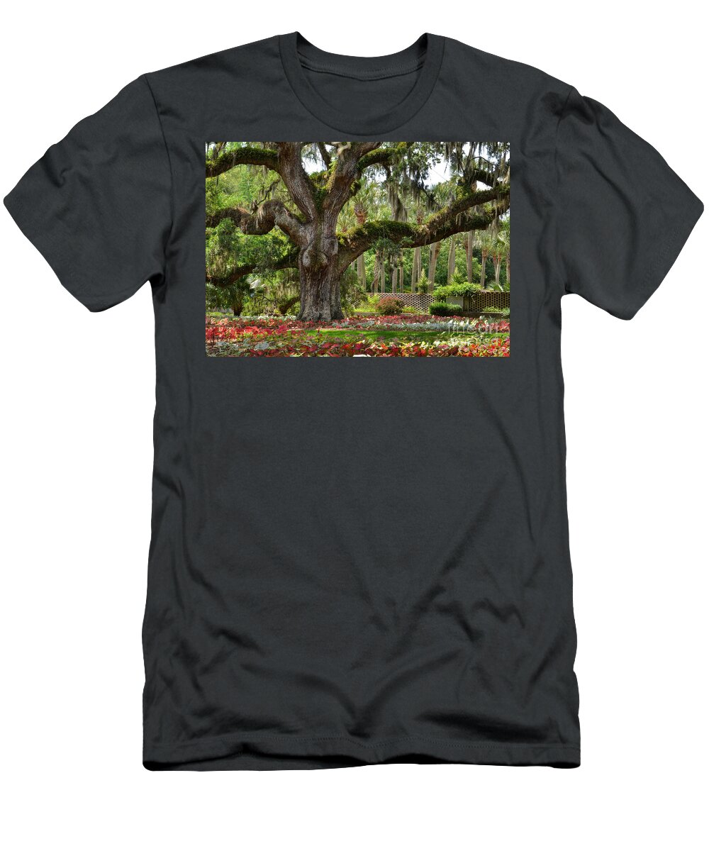 Gardens T-Shirt featuring the photograph Old Oak And Calladium Garden by Kathy Baccari
