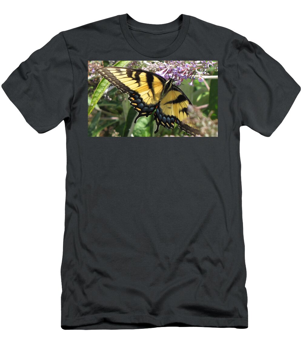 Butterfly T-Shirt featuring the photograph Old World Swallowtail by Jennifer Wheatley Wolf
