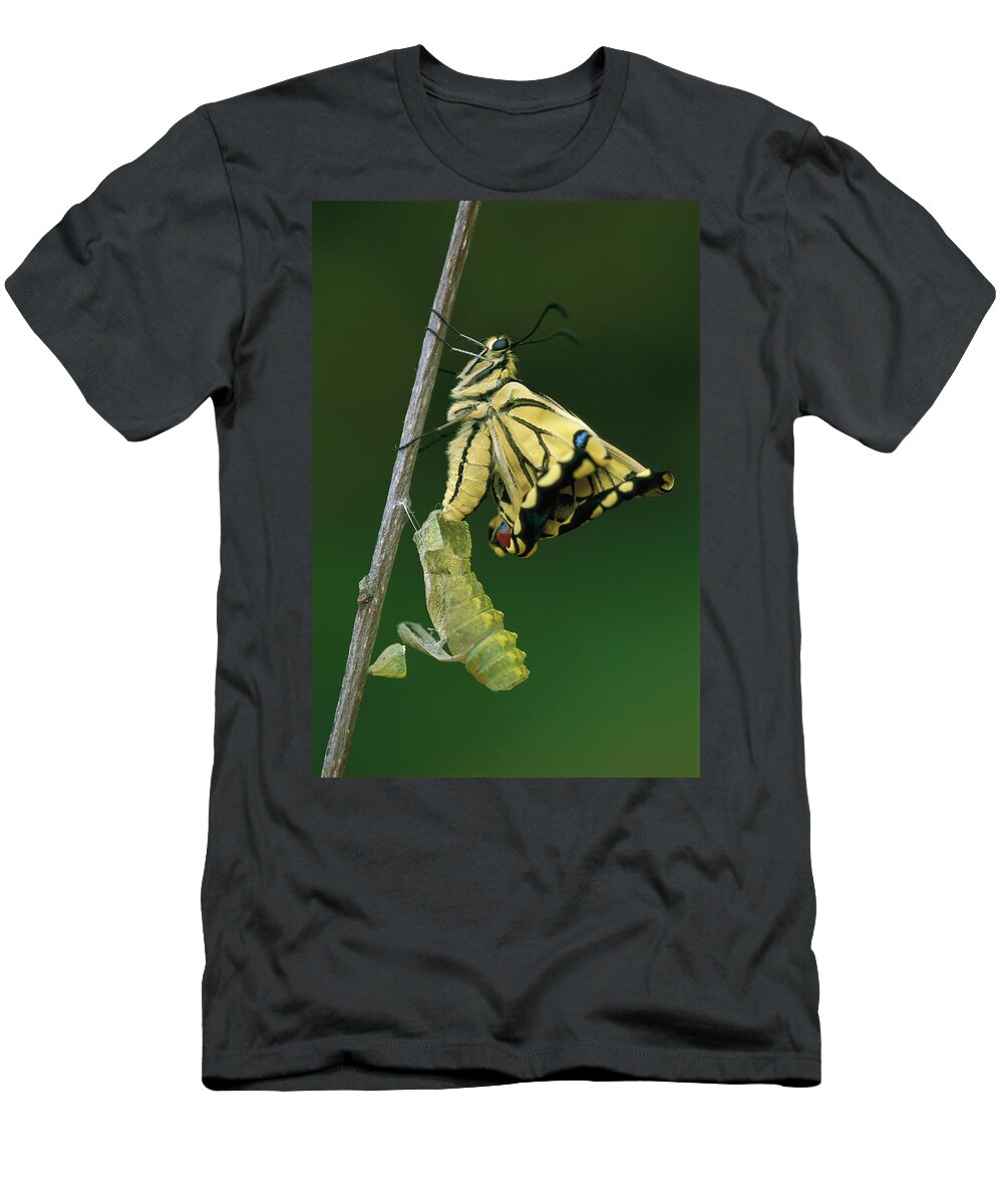 00785210 T-Shirt featuring the photograph Oldworld Swallowtail Emerging by Thomas Marent