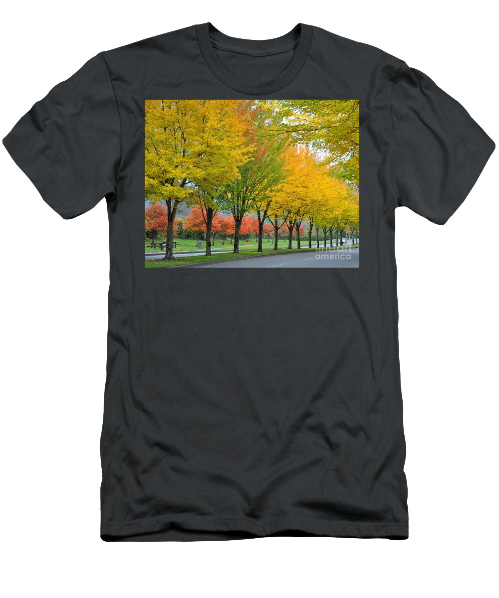 Fall T-Shirt featuring the photograph Row Of Trees by Kirt Tisdale