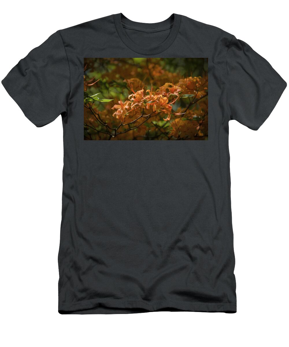 Azalea T-Shirt featuring the photograph Orange Azaleas by Penny Lisowski