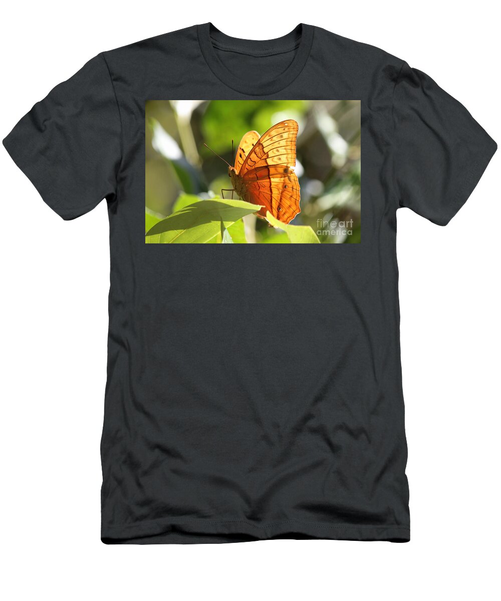 Butterfly T-Shirt featuring the photograph Orange Butterfly by Jola Martysz