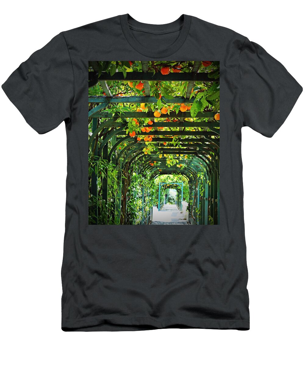 Orange And Green T-Shirt featuring the photograph Oranges and Lemons on a Green Trellis by Brooke T Ryan