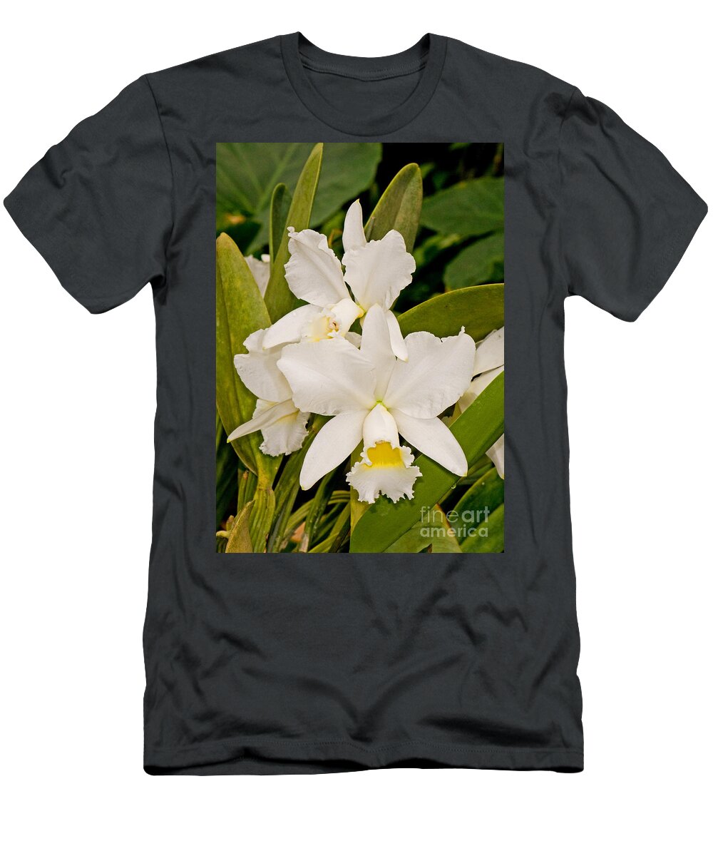 Nature T-Shirt featuring the photograph Orchid Sophronitis by Millard H. Sharp