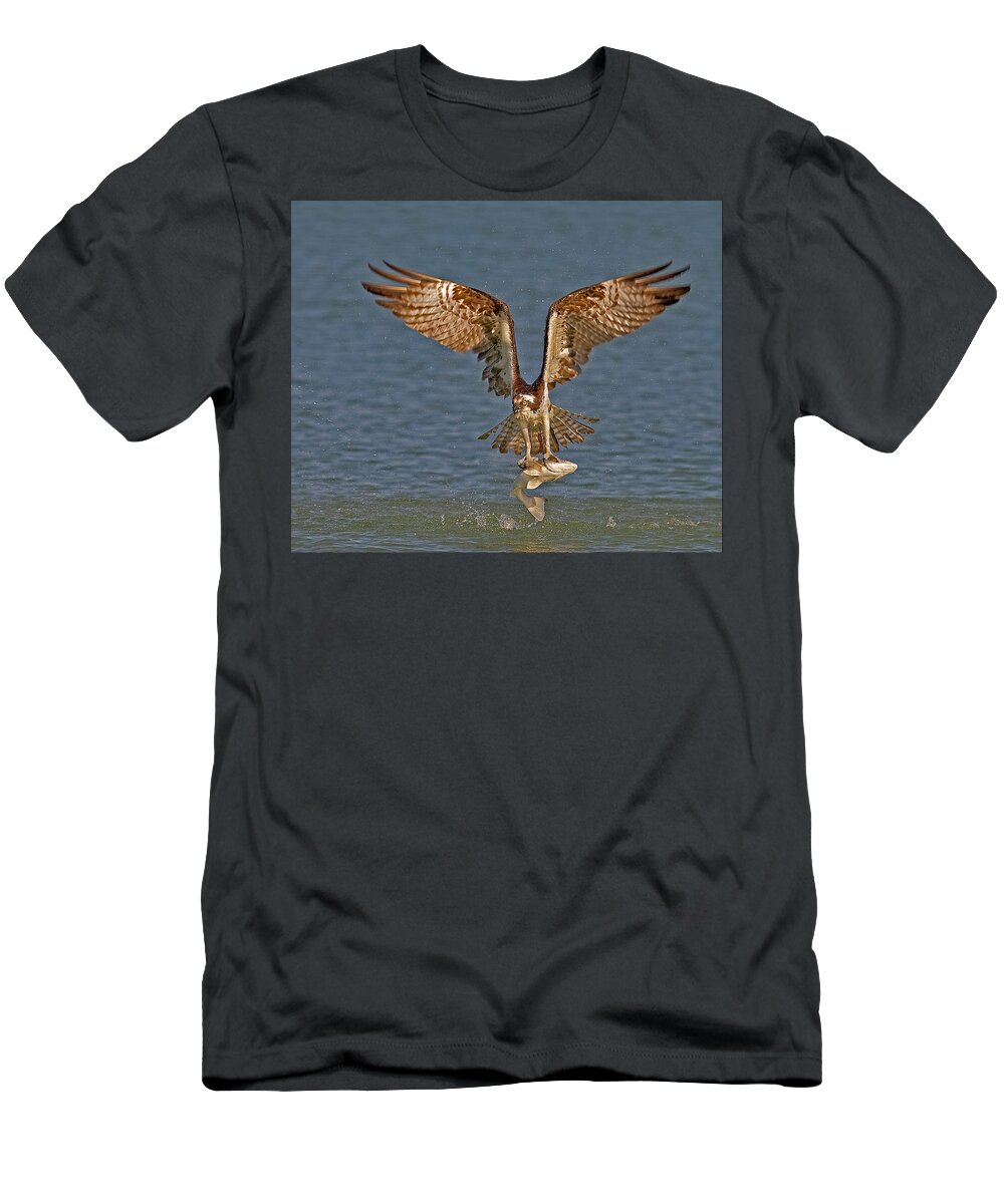 Osprey T-Shirt featuring the photograph Osprey Morning Catch by Susan Candelario
