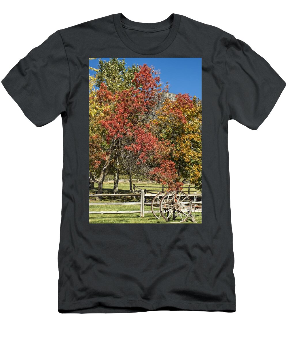 Changing T-Shirt featuring the photograph Out in the Country by Peggy Hughes