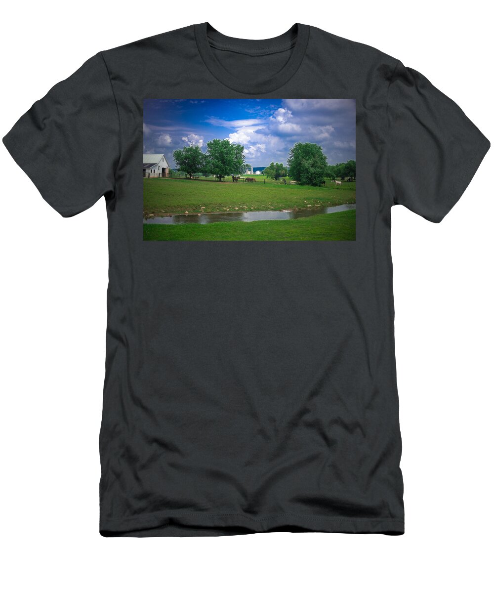 Farm T-Shirt featuring the photograph Out to Pasture by Joseph Desiderio
