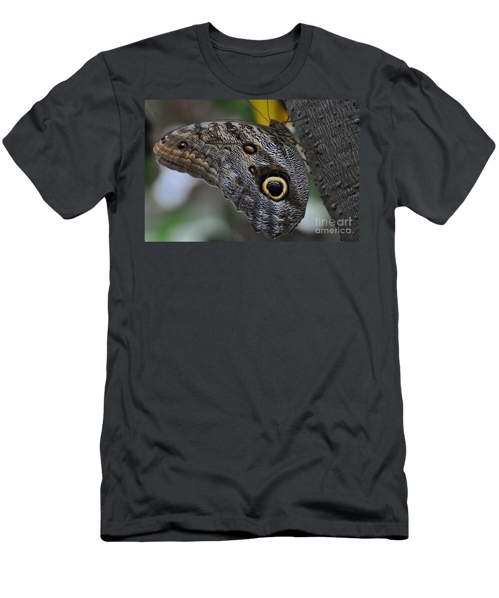 Owl Butterfly T-Shirt featuring the photograph Owl Butterfly by Bianca Nadeau