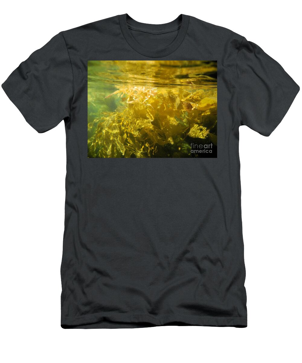 Channel Islands National Park T-Shirt featuring the photograph Pacific Ocean Kelp by Adam Jewell