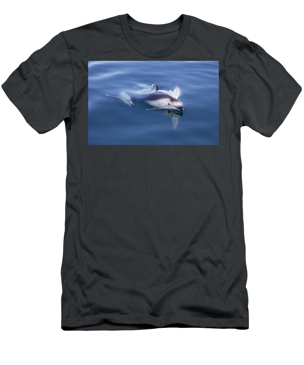 534186 T-Shirt featuring the photograph Pacific White-sided Dolphins Surfacing by Richard Herrmann