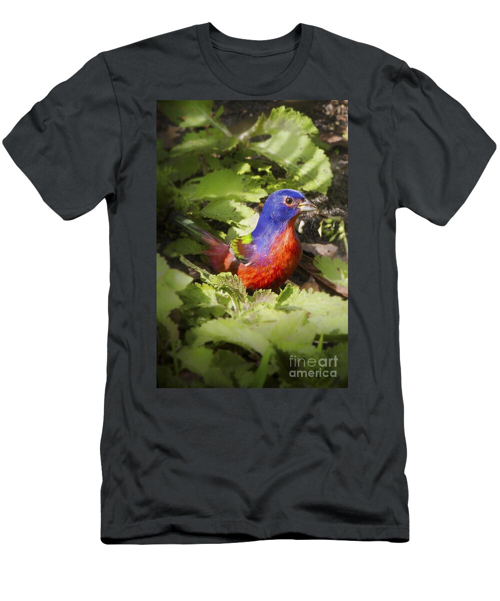 Corkscrew Swamp T-Shirt featuring the photograph Painted Bunting by Ronald Lutz
