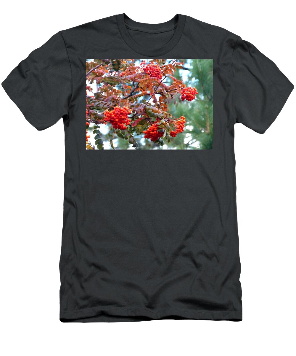 Painted Mountain Ash Berries T-Shirt featuring the digital art Painted Mountain Ash Berries by Will Borden