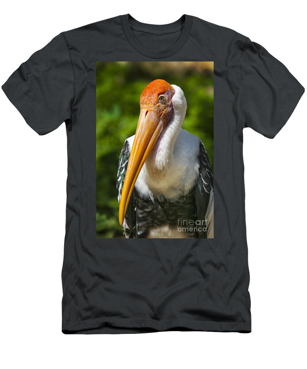 Animals T-Shirt featuring the photograph Painted Stork by Timothy Hacker