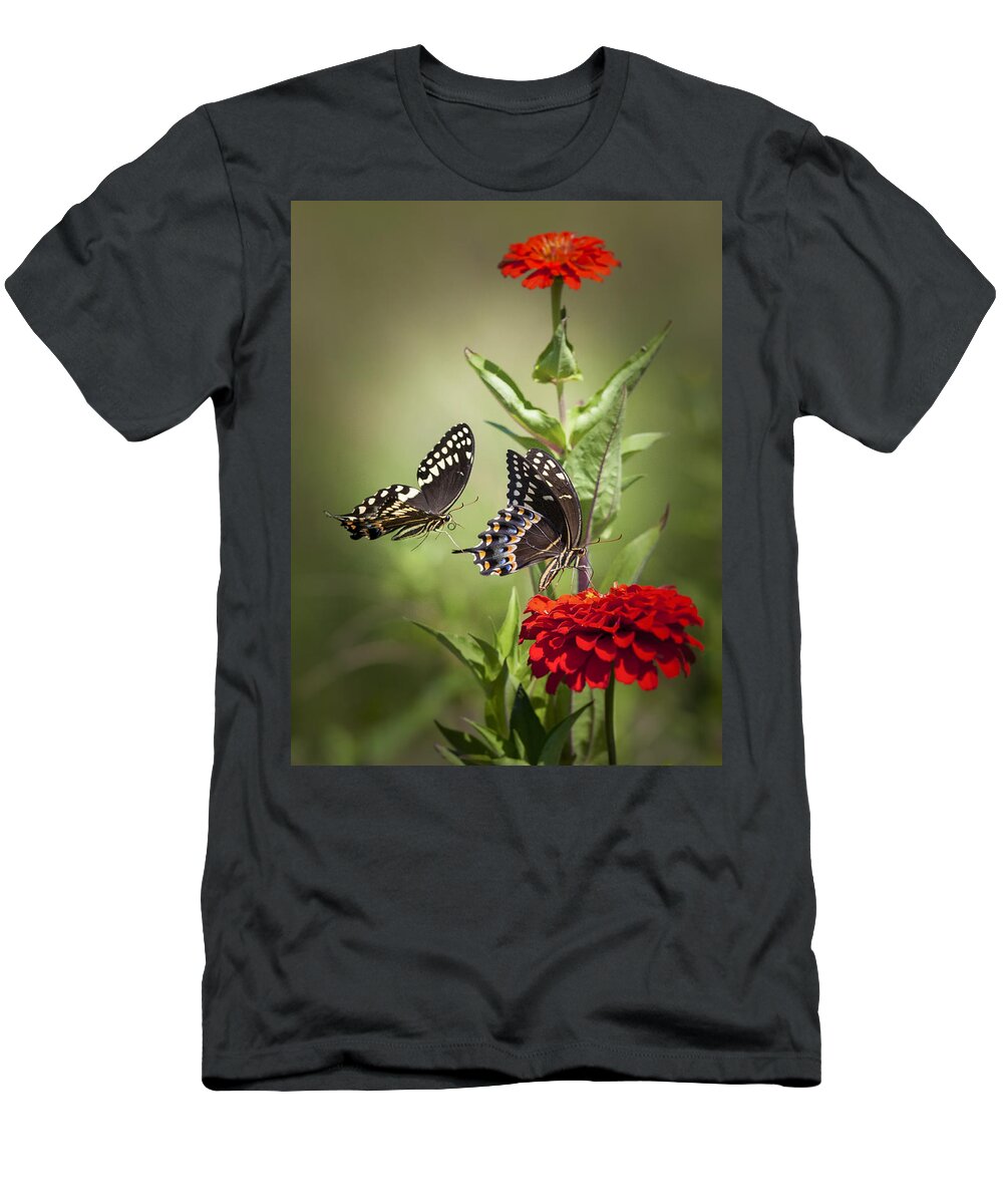 Butterflies T-Shirt featuring the photograph Palamedes Swallowtail Butterflies by Jo Ann Tomaselli