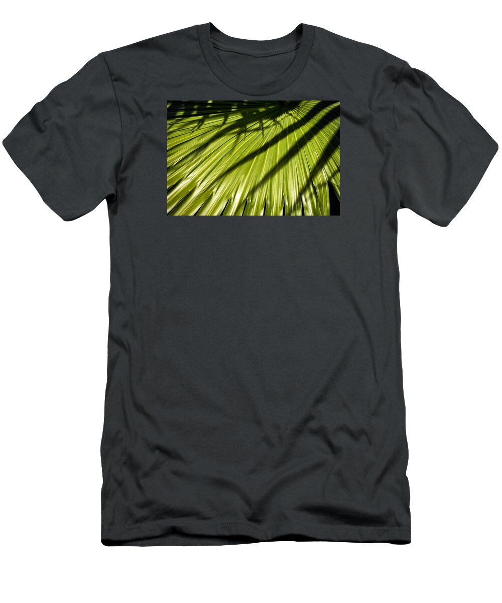Palm Leaves T-Shirt featuring the photograph Palm Leaves Color Dsc05268 by Greg Kluempers