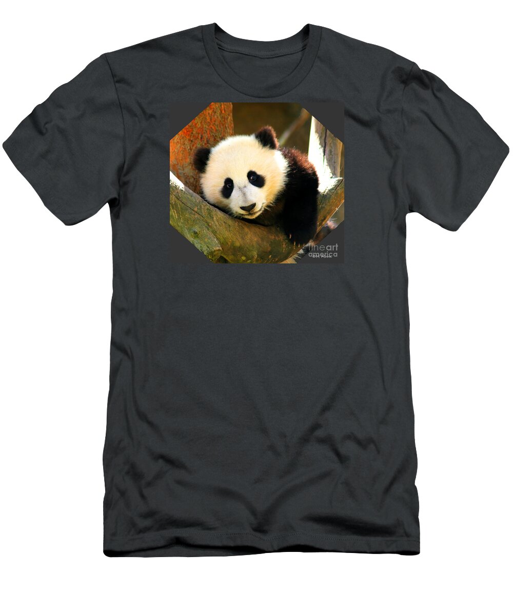 San Diego Zoo T-Shirt featuring the photograph Panda Bear Baby Love by Tap On Photo