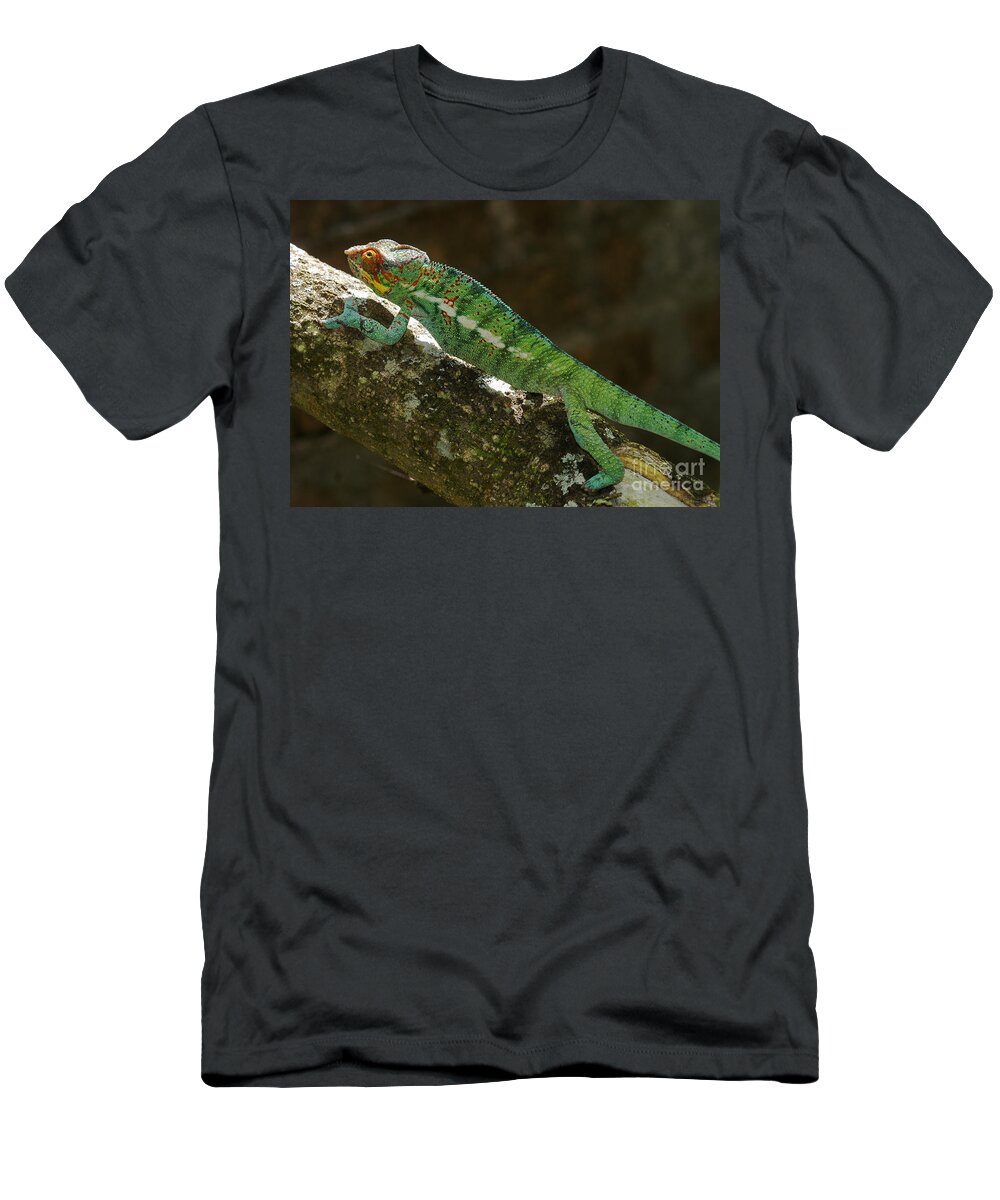 Nature T-Shirt featuring the photograph panther chameleon from Madagascar 5 by Rudi Prott