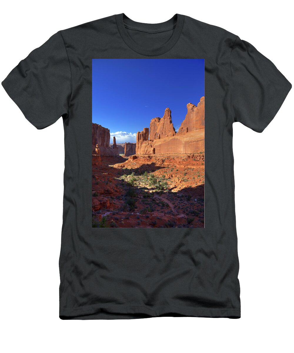 Rock T-Shirt featuring the photograph Park Avenue Sunset by Alan Vance Ley
