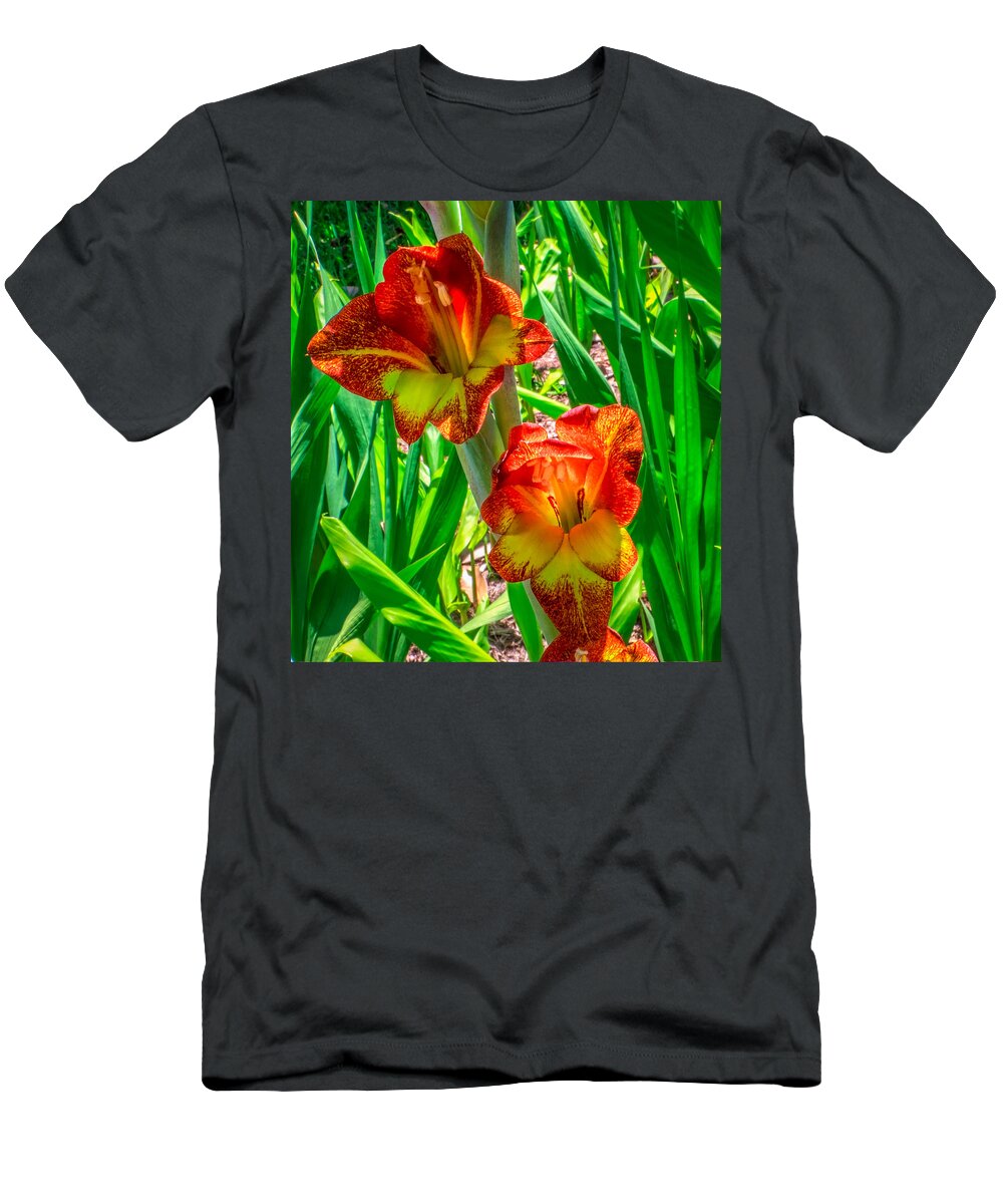 Flower T-Shirt featuring the photograph Parrot Gladiolus by Traveler's Pics