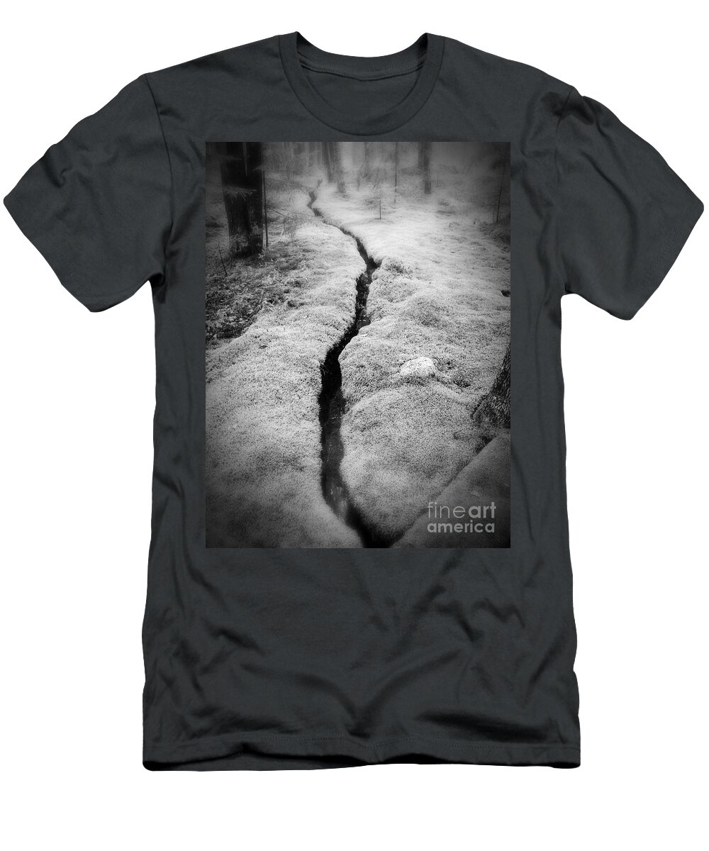 Moss T-Shirt featuring the photograph Path Taken by Edward Fielding