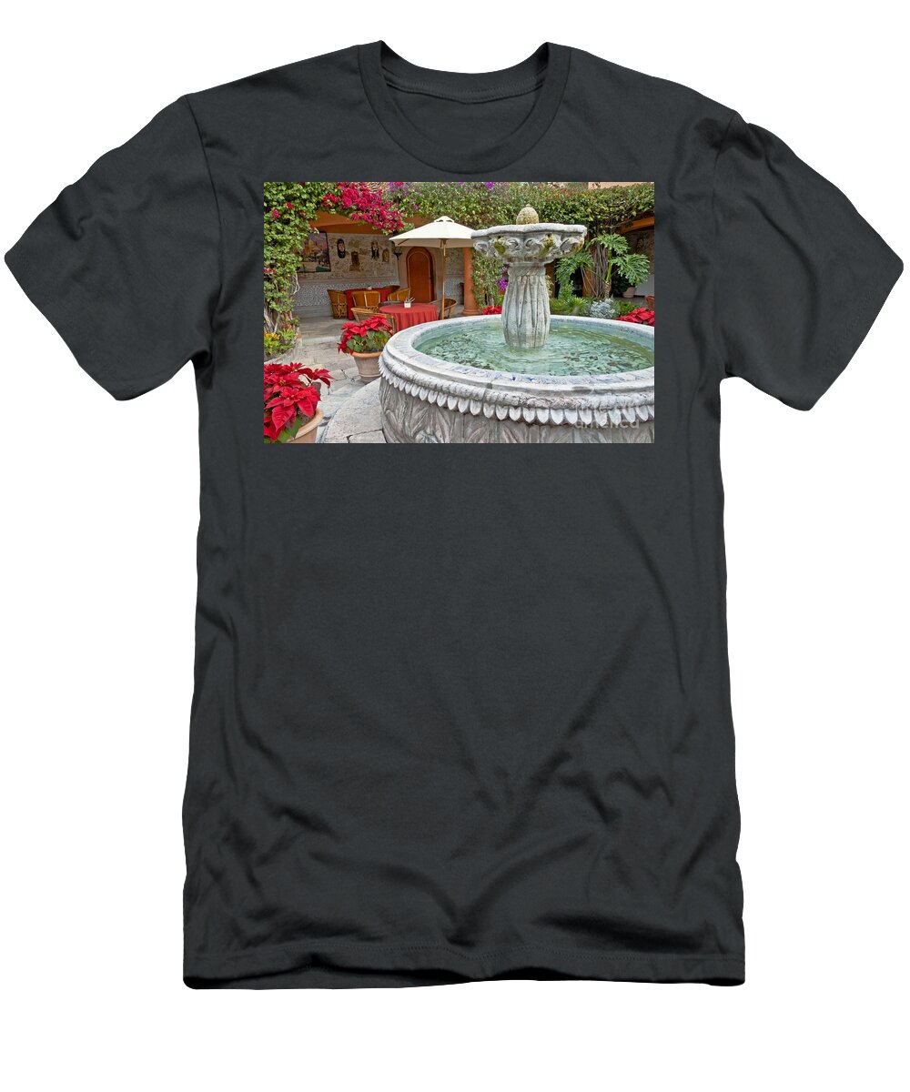 Patio T-Shirt featuring the photograph Patio And Fountain by Richard & Ellen Thane