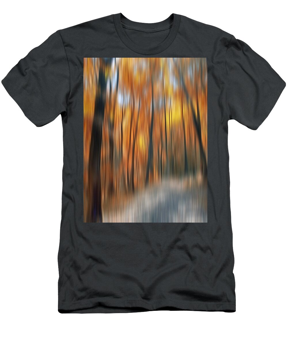 Autumn T-Shirt featuring the photograph Peaceful Path by Susan Candelario