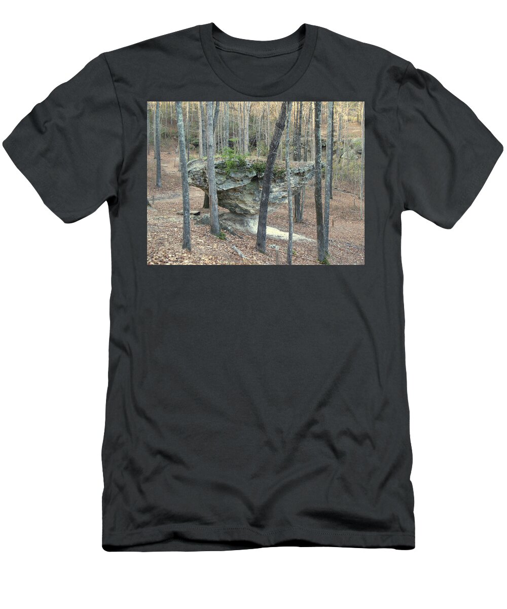 Peach T-Shirt featuring the photograph Peach Tree Rock-5 by Charles Hite