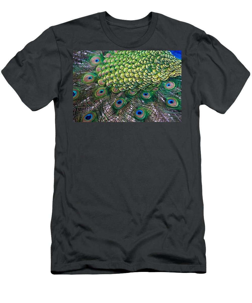 Male T-Shirt featuring the photograph Peacock display abstract by Eti Reid