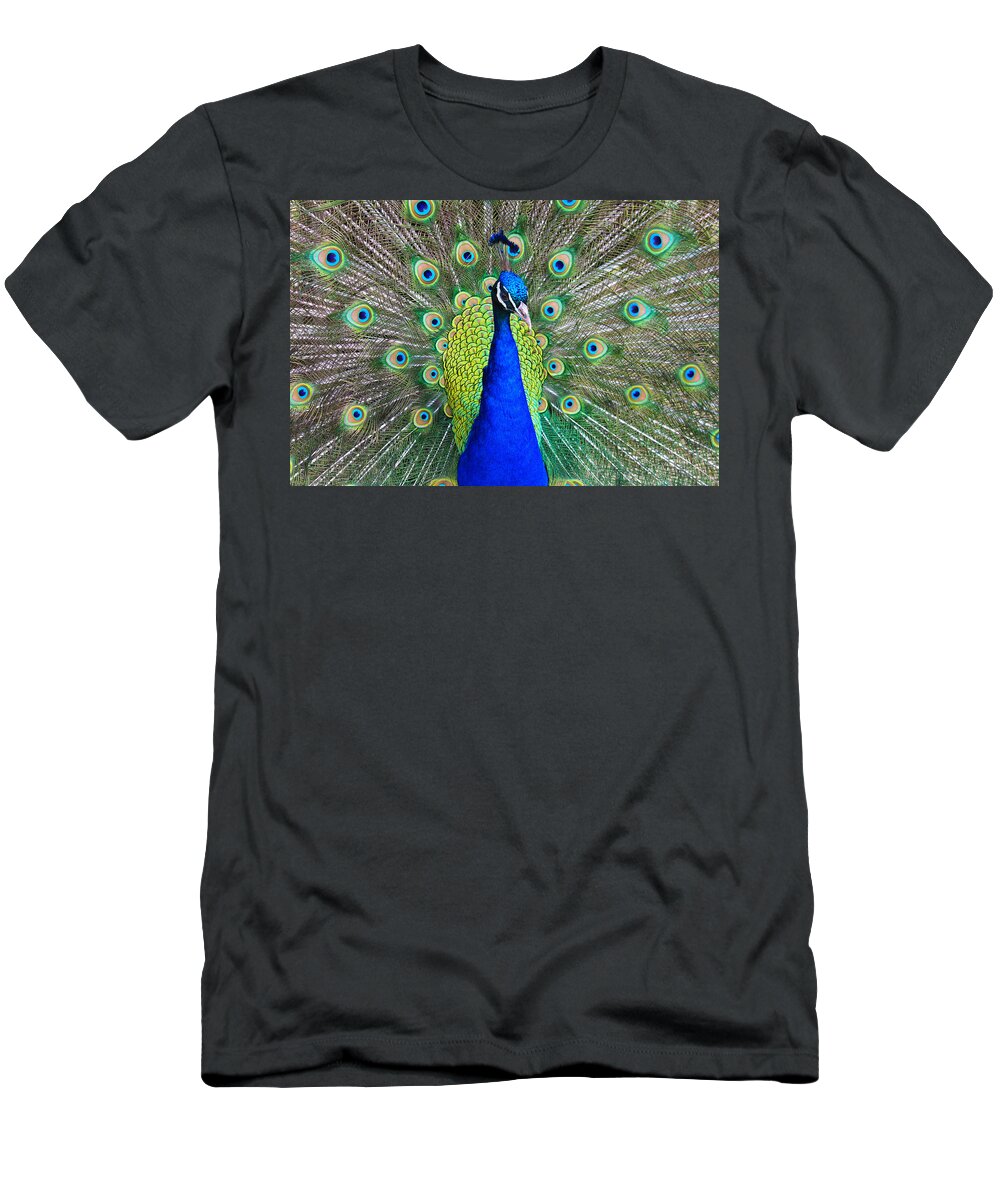 Birds T-Shirt featuring the photograph Peacock by Roger Becker