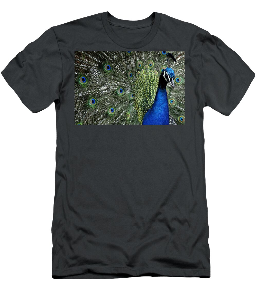 Peacock T-Shirt featuring the photograph Peacock by Ron White