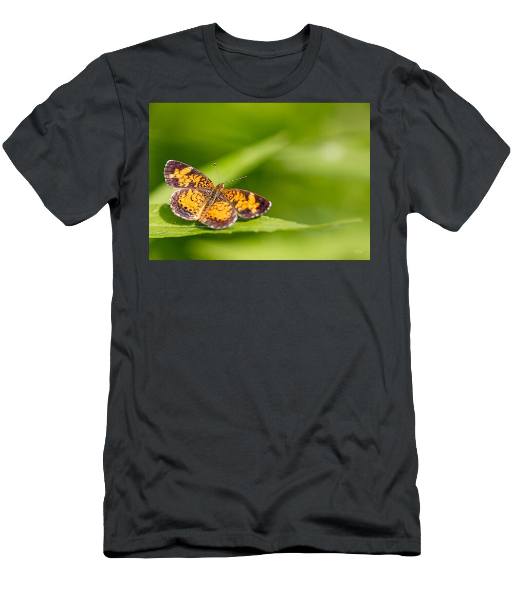 Pearl Crescent T-Shirt featuring the photograph Pearl Crescent notecard by Everet Regal