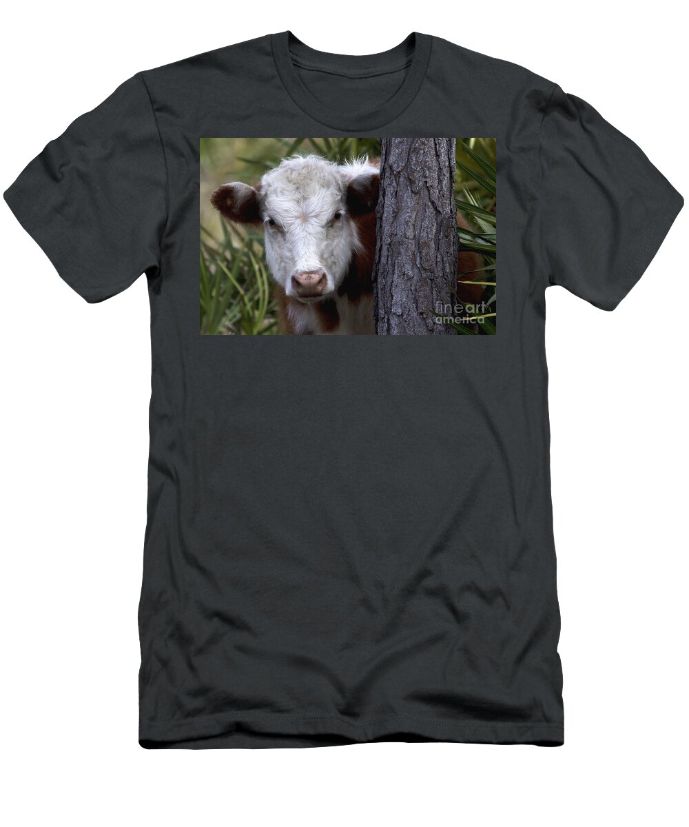Cow T-Shirt featuring the photograph Peek a Moo by Meg Rousher