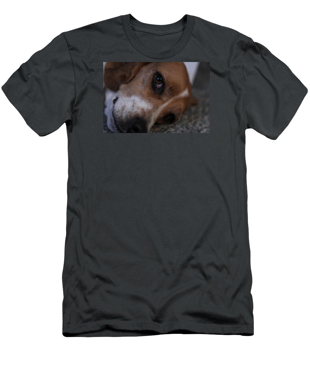 Beagle T-Shirt featuring the photograph Penny the Beagle Dog by Valerie Collins
