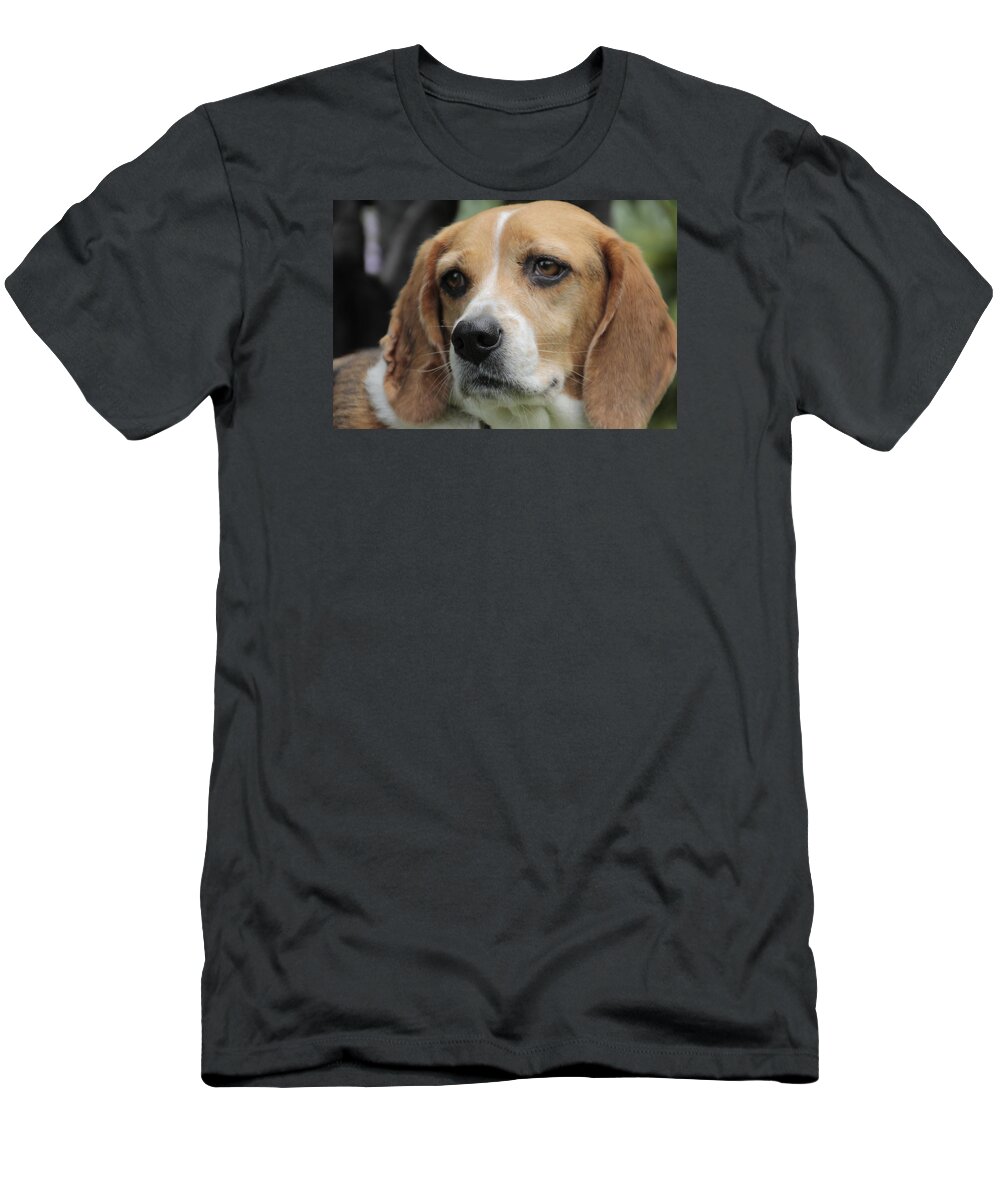 Beagle T-Shirt featuring the photograph The Beagle named Penny by Valerie Collins