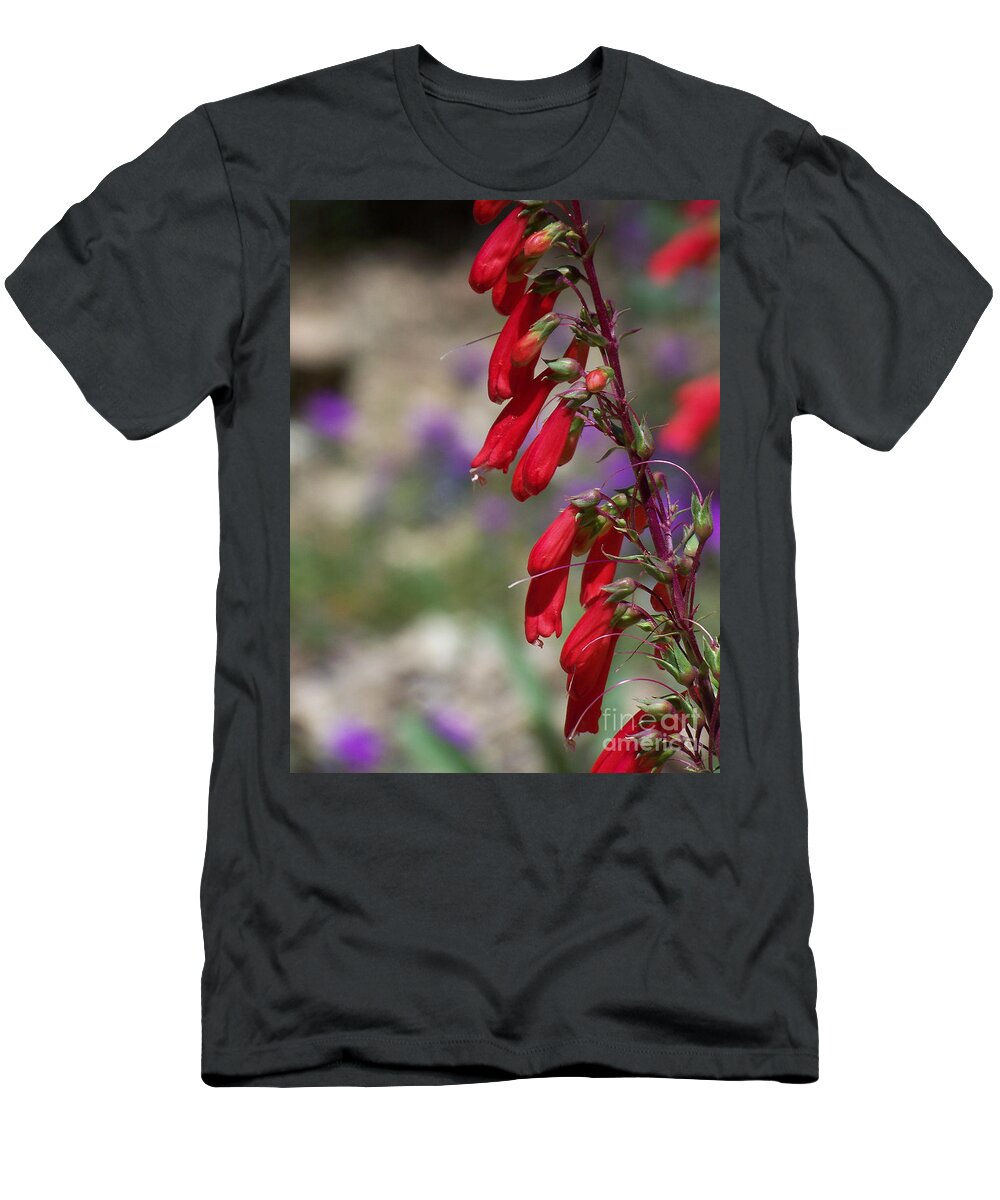 Flowers T-Shirt featuring the photograph Penstemon by Kathy McClure