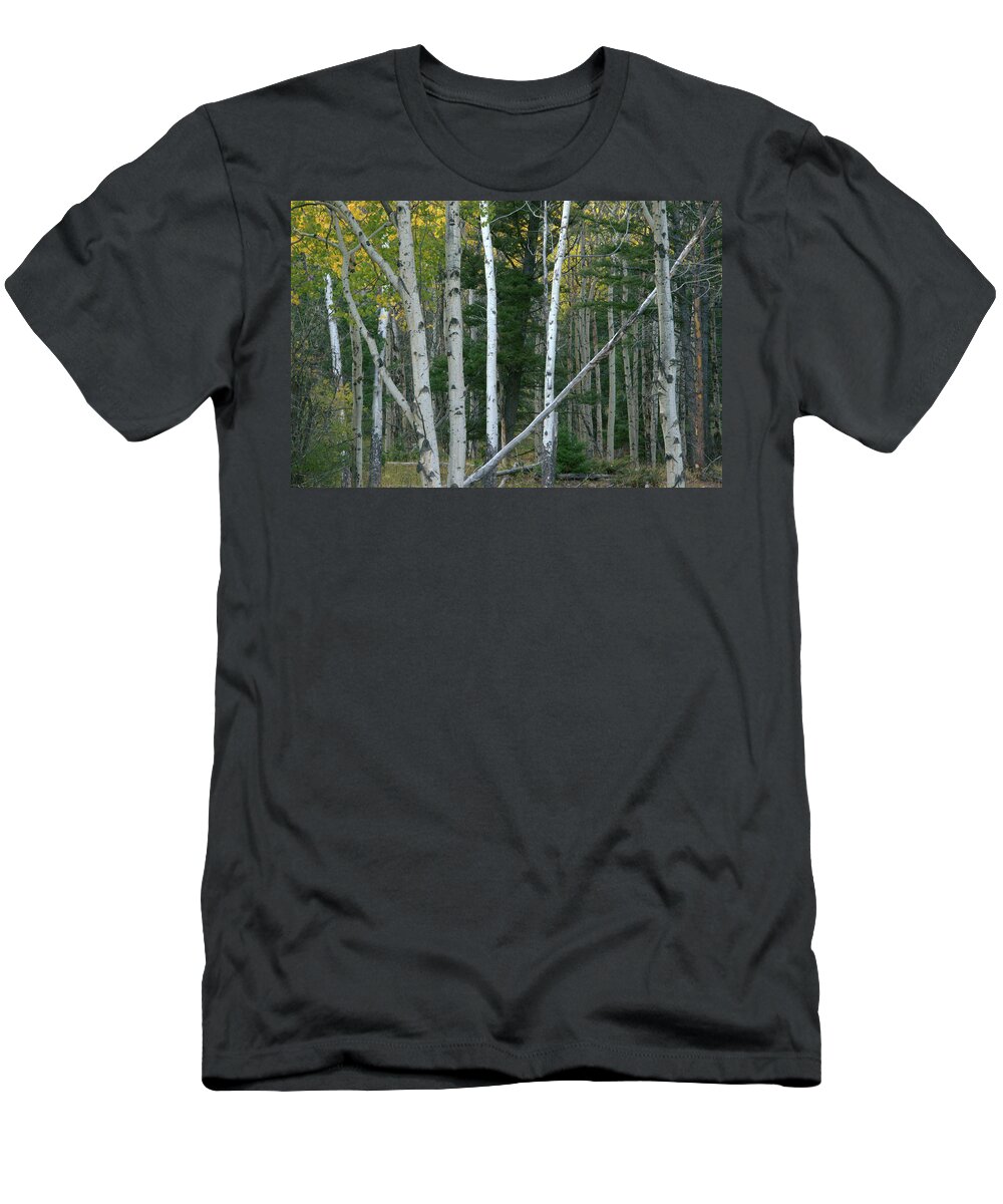 Gold T-Shirt featuring the photograph Perfection In Nature by Frank Madia